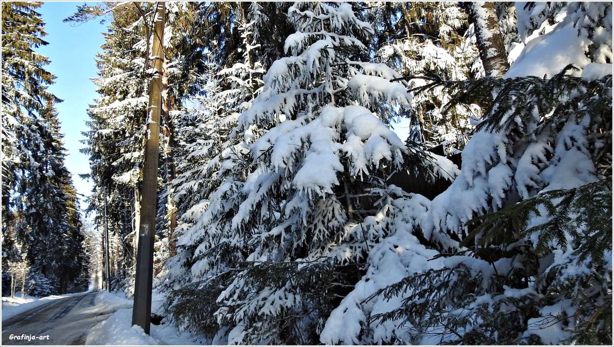 ��������... ����� ������ ��� �� PhotoGeek.ru #������ ��� �������