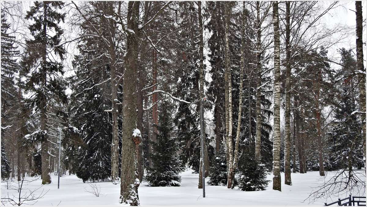 ������������� �������...����������� �����... ����� ������ ��� �� PhotoGeek.ru #������ ��� �������