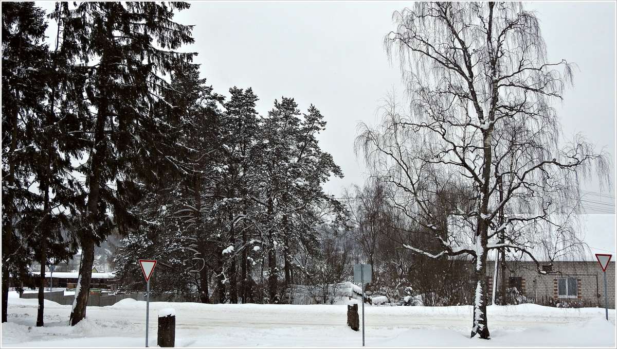 ������������� �������...����������� �����... ����� ������ ��� �� PhotoGeek.ru #������ ��� �������