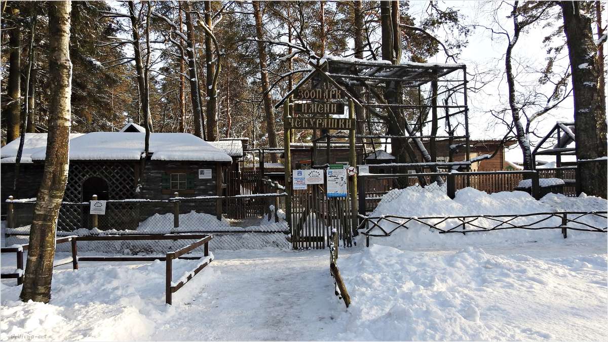 ��������... ����� ������ ��� �� PhotoGeek.ru #������ ��� �������