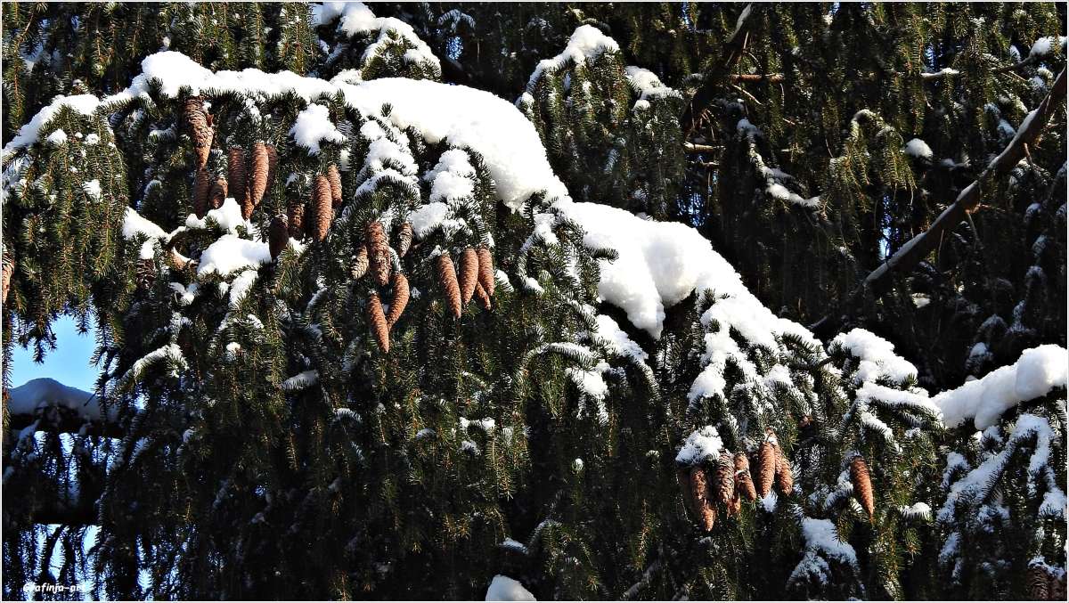 ��������... ����� ������ ��� �� PhotoGeek.ru #������ ��� �������