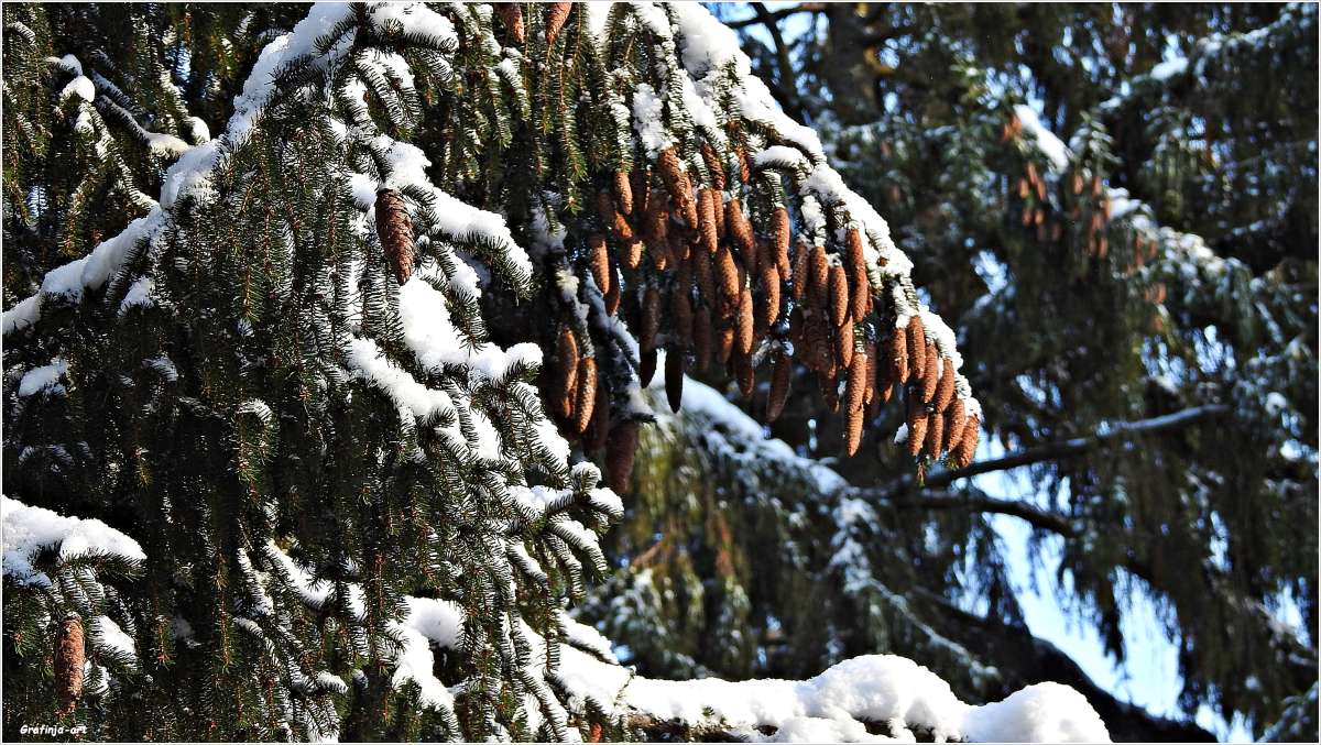 ��������... ����� ������ ��� �� PhotoGeek.ru #������ ��� �������