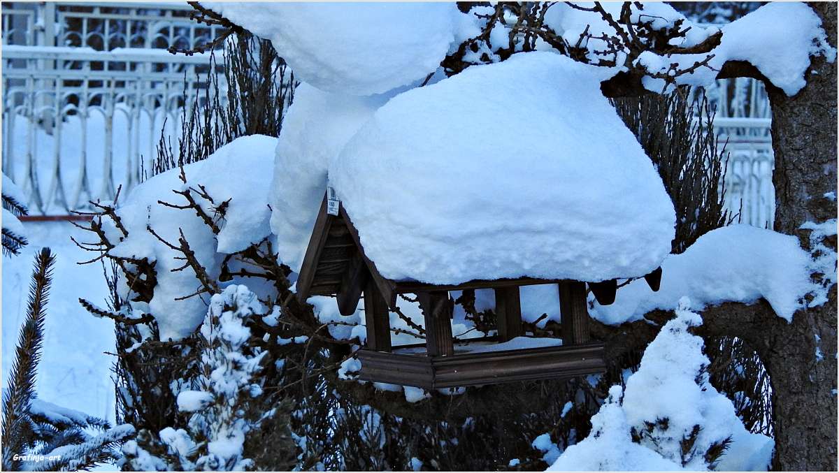 ��������... ����� ������ ��� �� PhotoGeek.ru #������ ��� �������