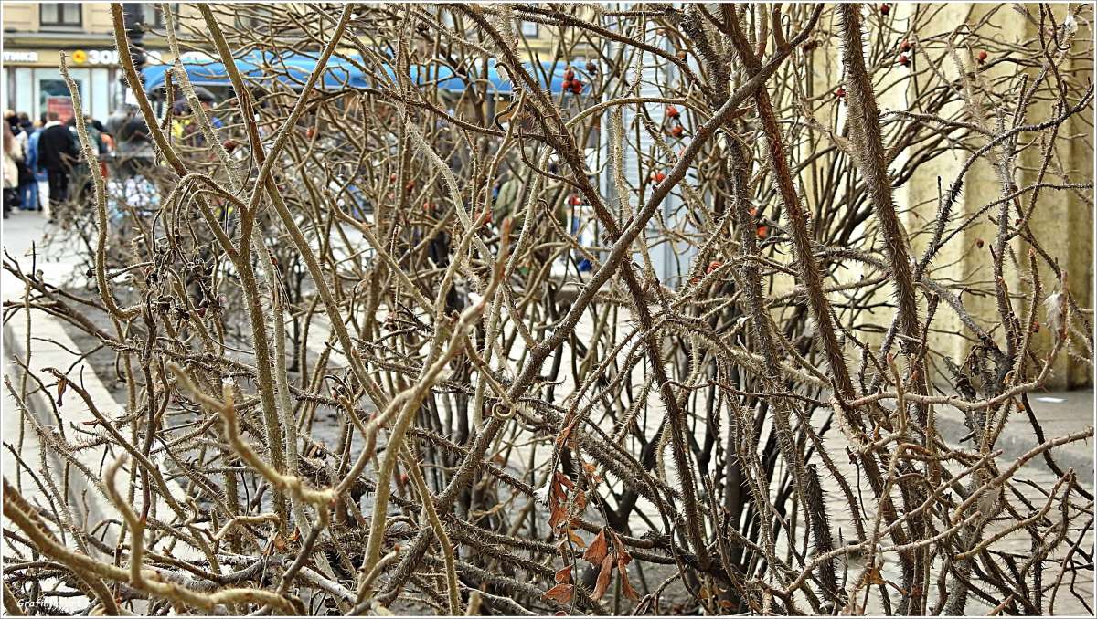 �����-��������� ����� ������ ��� �� PhotoGeek.ru #����� #������ ��� �������