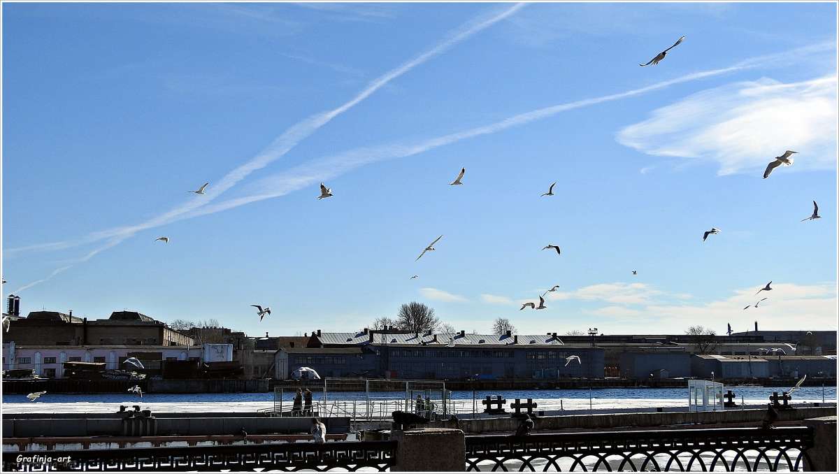 �����-��������� ����� ������ ��� �� PhotoGeek.ru #����� #������ ��� �������