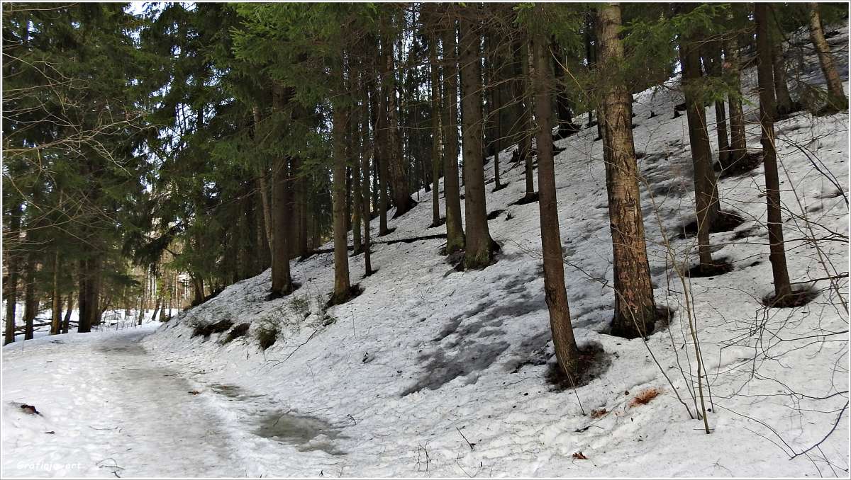 ���������... ����� ������ ��� �� PhotoGeek.ru #������ ��� �������