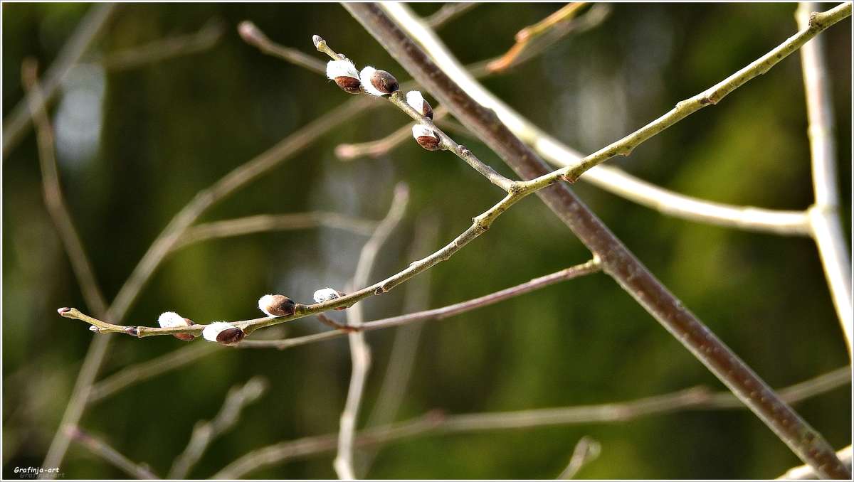 ���������... ����� ������ ��� �� PhotoGeek.ru #������ ��� �������