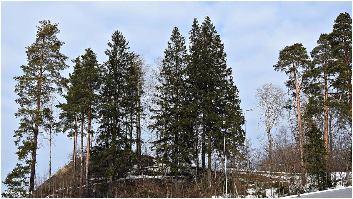 ���������... ����� ������ ��� �� PhotoGeek.ru #������ ��� �������