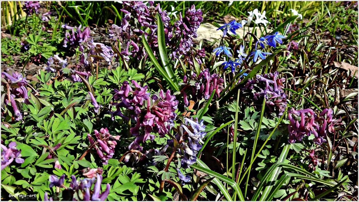 ������������ ���... ����� ������ ��� �� PhotoGeek.ru #������ ��� �������