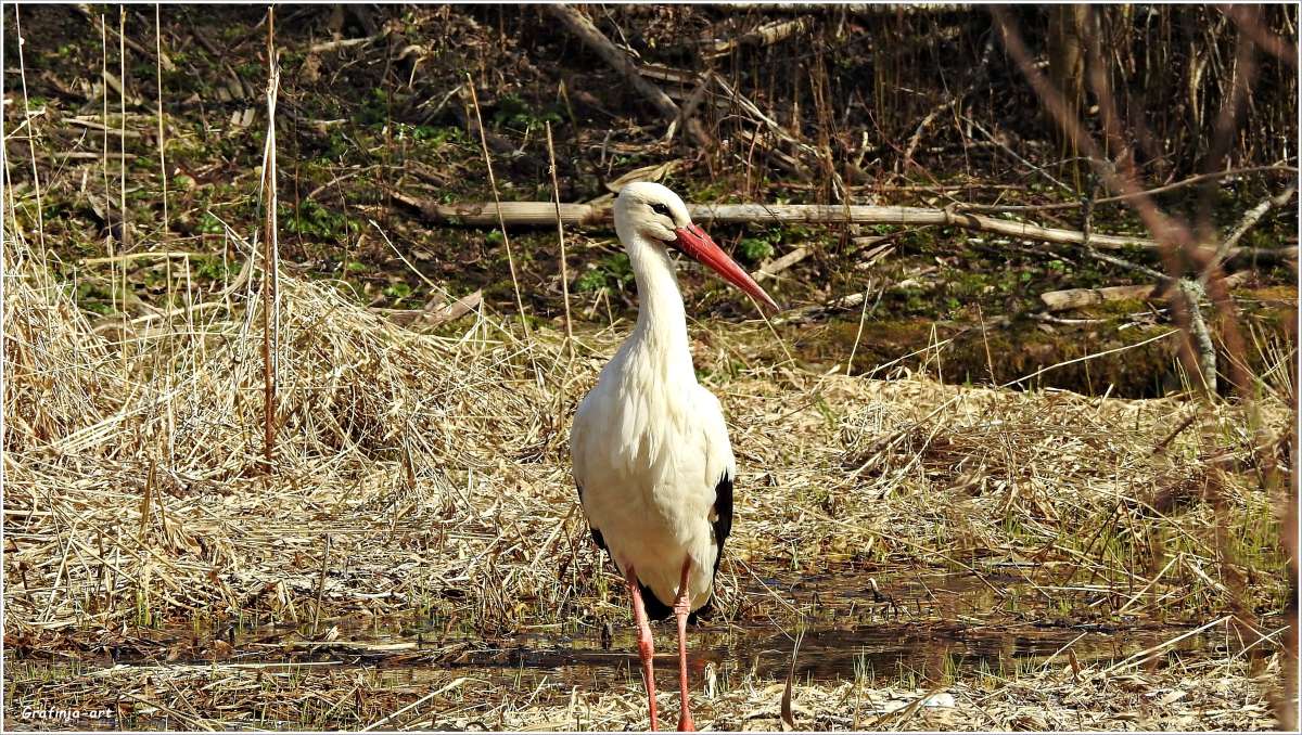 ���������... ����� ������ ��� �� PhotoGeek.ru #�������� ��� #������ ��� �������