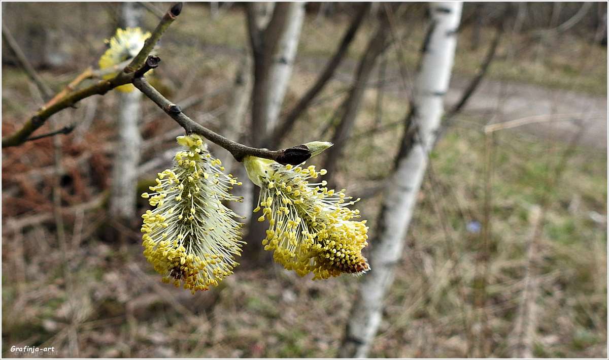 ���������� ��������... ����� ������ ��� �� PhotoGeek.ru #������ ��� �������