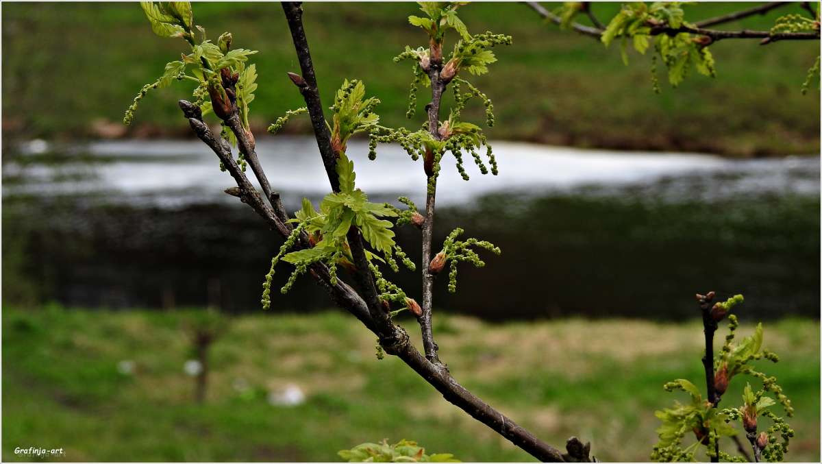 ������� �����... ����� ������ ��� �� PhotoGeek.ru #������ ��� ������� #����� ��������������