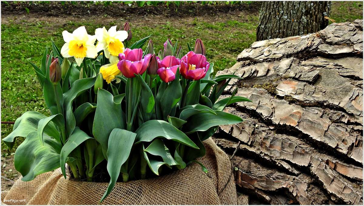 ������ ������... ����� ������ ��� �� PhotoGeek.ru #������ ��� �������