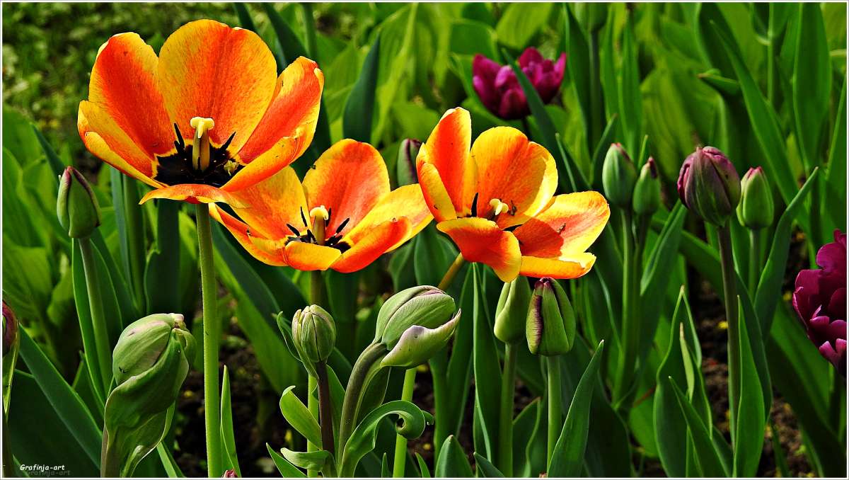 ������ ������... ����� ������ ��� �� PhotoGeek.ru #������ ��� ������� #����� ��������������