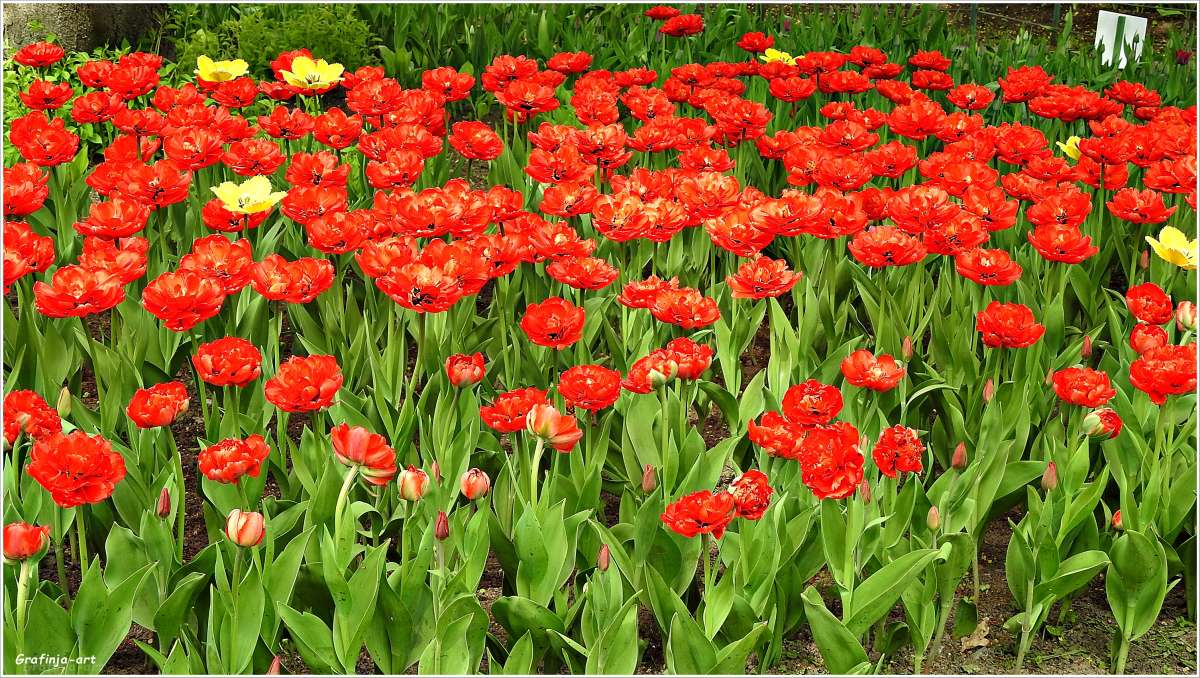 ������ ������... ����� ������ ��� �� PhotoGeek.ru #������ ��� ������� #����� ��������������