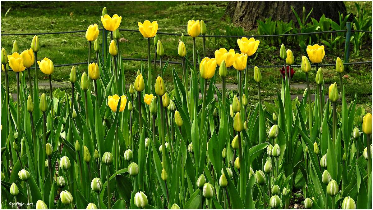 ������ ������... ����� ������ ��� �� PhotoGeek.ru #������ ��� ������� #����� ��������������