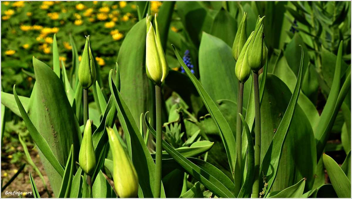 ������ ������... ����� ������ ��� �� PhotoGeek.ru #������ ��� �������