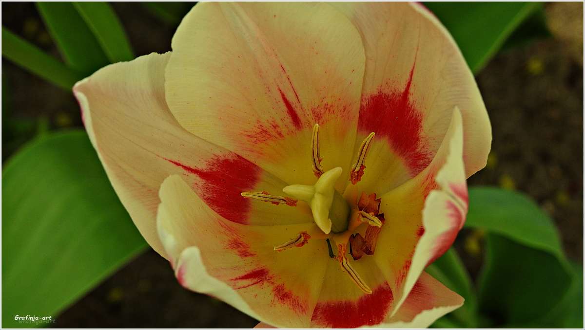 ������ ������... ����� ������ ��� �� PhotoGeek.ru #������ ��� ������� #����� ��������������