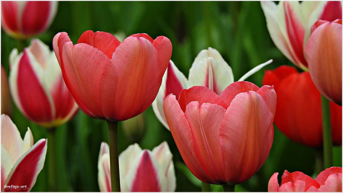 ������ ������... ����� ������ ��� �� PhotoGeek.ru #������ ��� ������� #����� ��������������