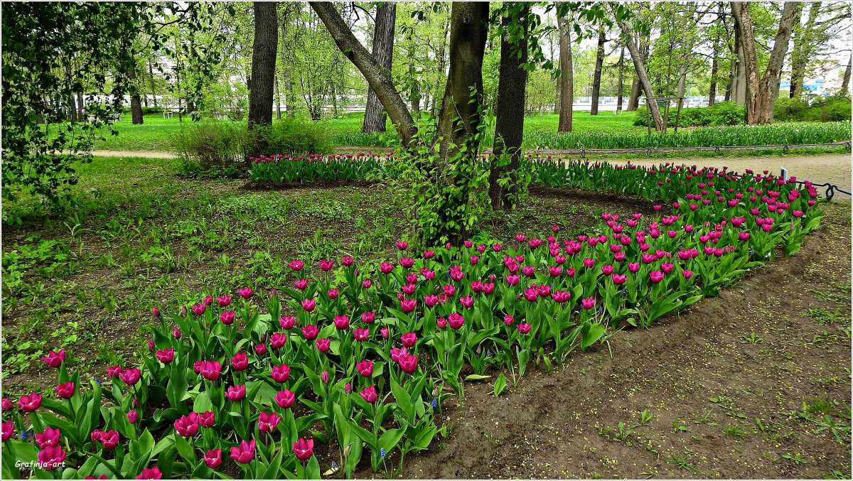 ������ ������... ����� ������ ��� �� PhotoGeek.ru #������ ��� ������� #����� ��������������