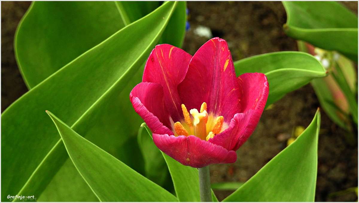 ������ ������... ����� ������ ��� �� PhotoGeek.ru #������ ��� �������