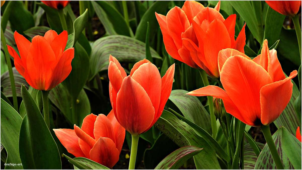 ������ ������... ����� ������ ��� �� PhotoGeek.ru #������ ��� ������� #����� ��������������