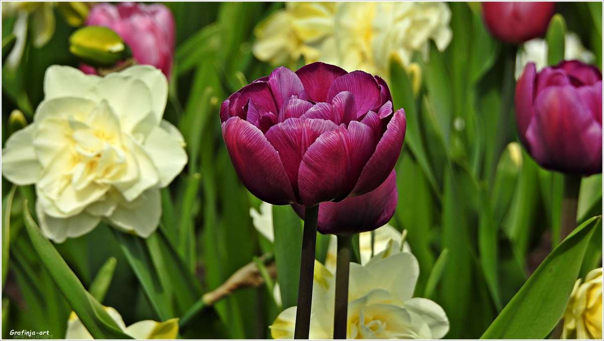 ������ ������... ����� ������ ��� �� PhotoGeek.ru #������ ��� �������