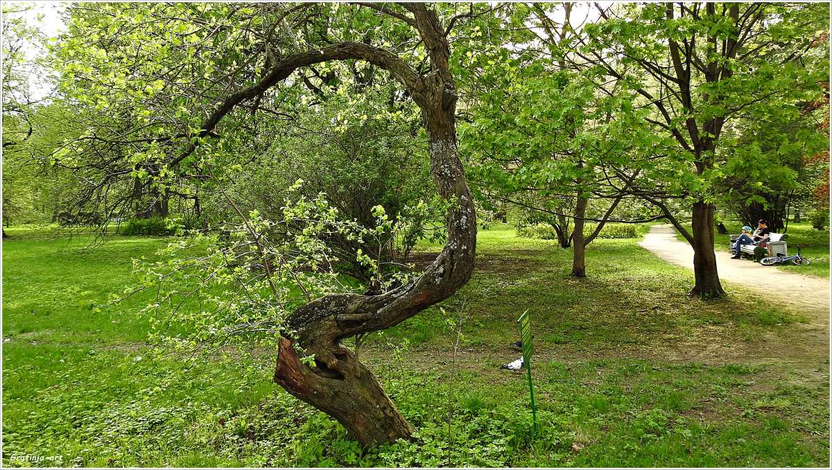 ������ ������... ����� ������ ��� �� PhotoGeek.ru #������ ��� �������