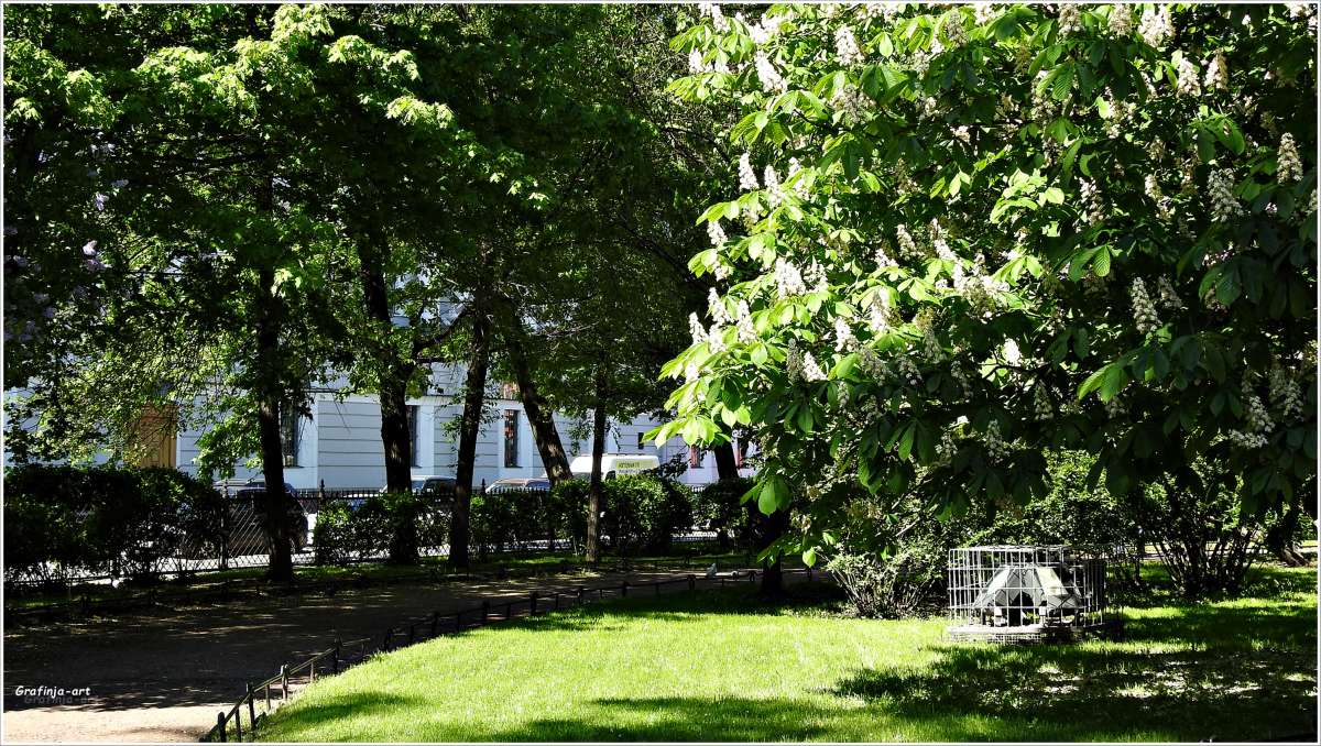 �����-��������� ����� ������ ��� �� PhotoGeek.ru #������ ��� �������