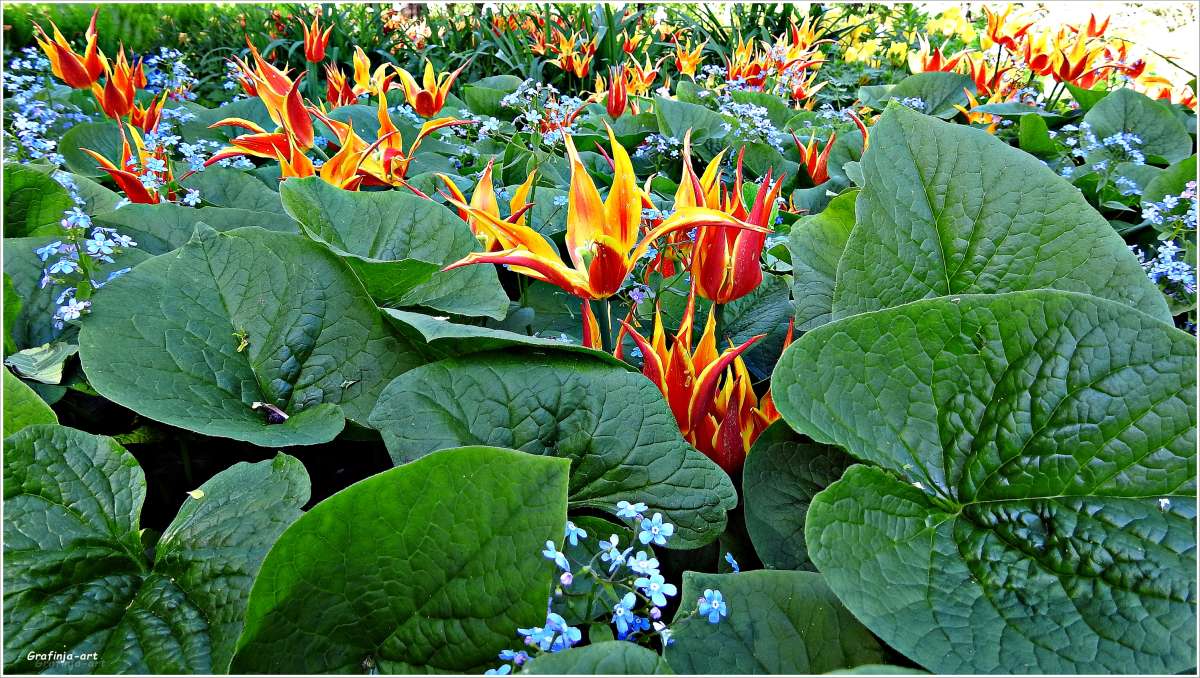 ������ ������... ����� ������ ��� �� PhotoGeek.ru #������ ��� ������� #����� ��������������