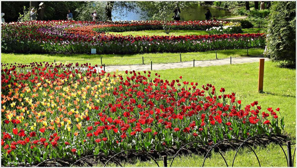 ������ ������... ����� ������ ��� �� PhotoGeek.ru #������ ��� �������