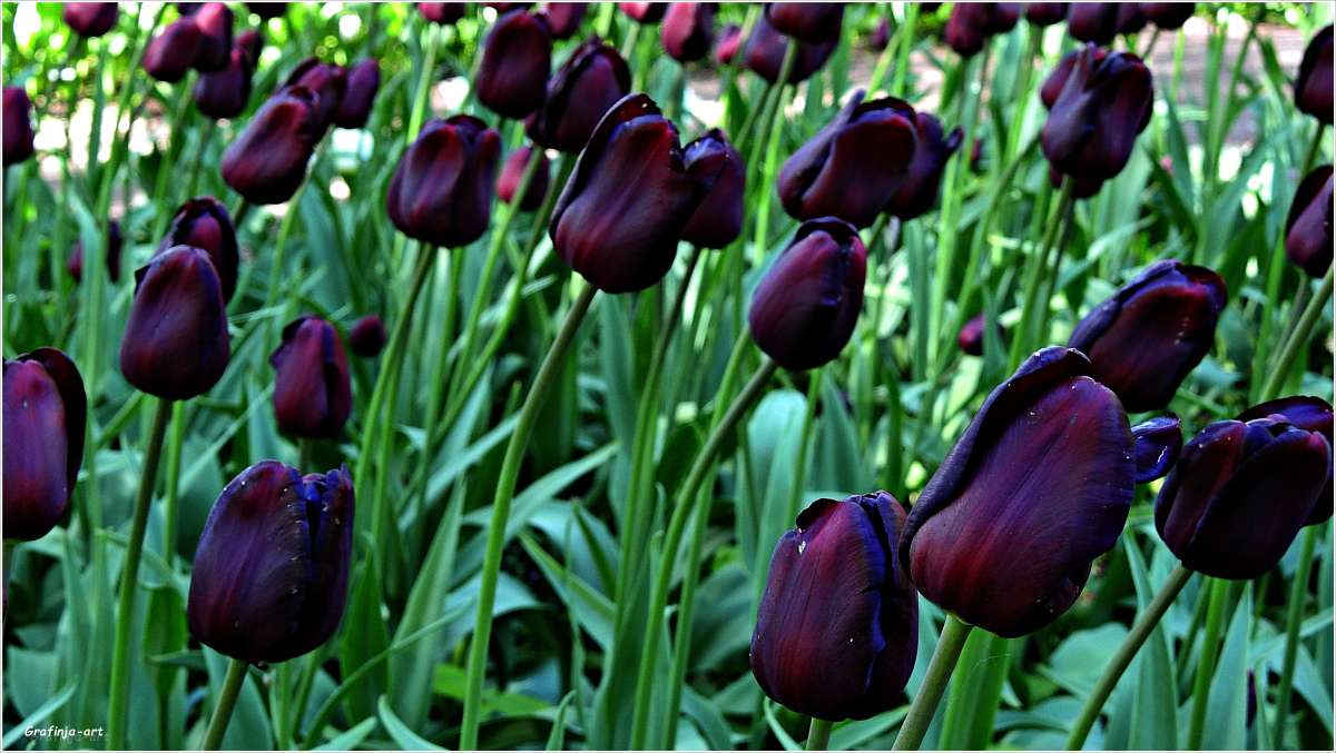 ������ ������... ����� ������ ��� �� PhotoGeek.ru #������ ��� ������� #����� ��������������