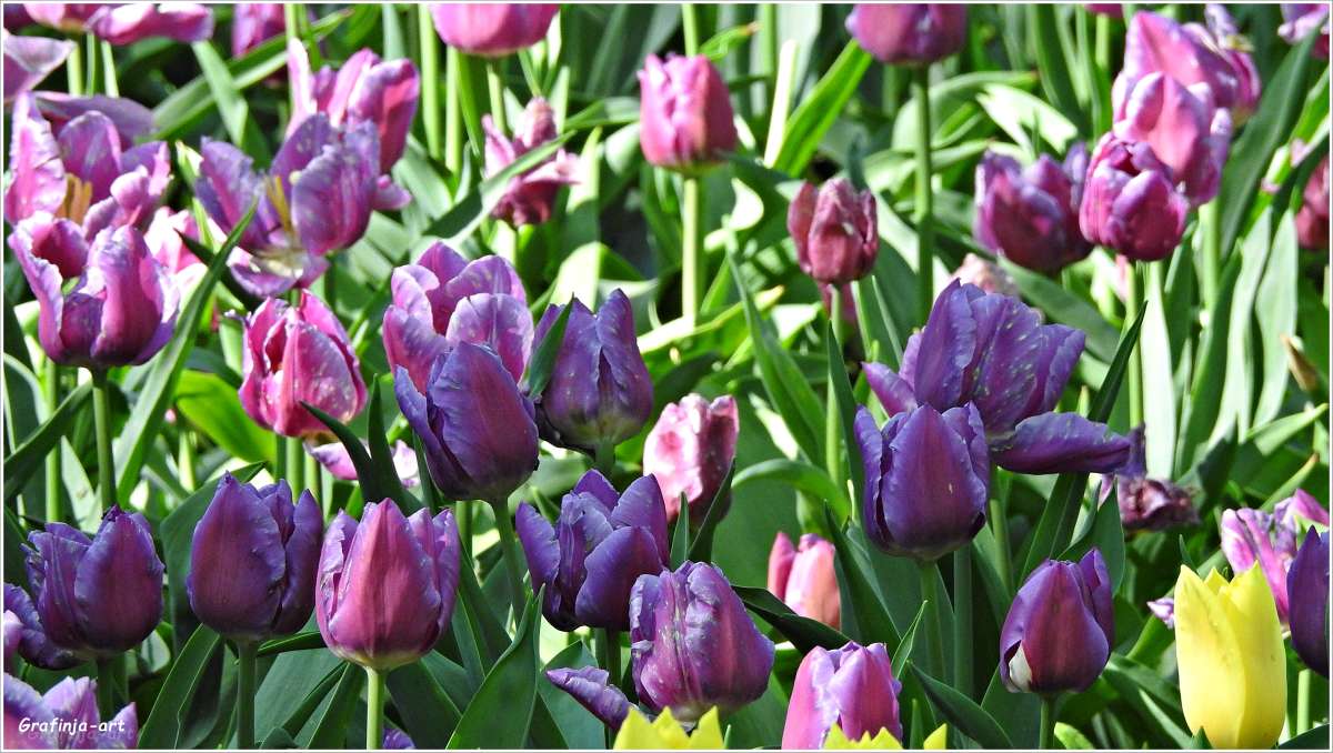 ������ ������... ����� ������ ��� �� PhotoGeek.ru #������ ��� ������� #����� ��������������