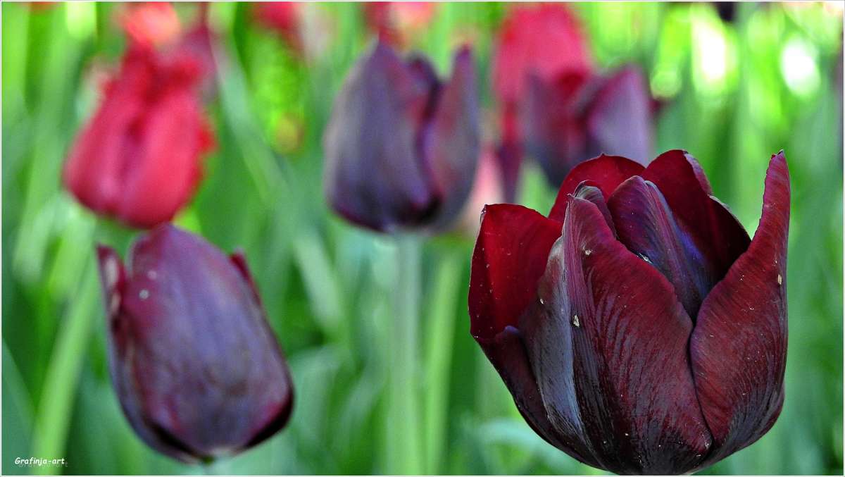 ������ ������... ����� ������ ��� �� PhotoGeek.ru #������ ��� ������� #����� ��������������