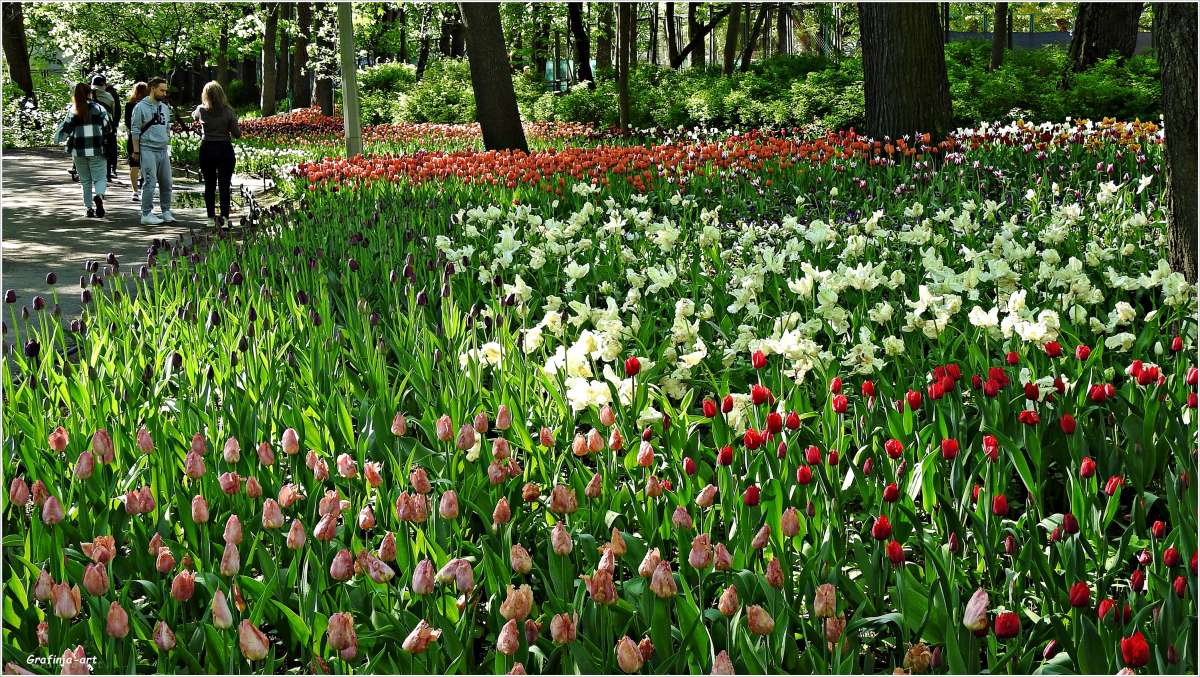 ������ ������... ����� ������ ��� �� PhotoGeek.ru #������ ��� ������� #����� ��������������