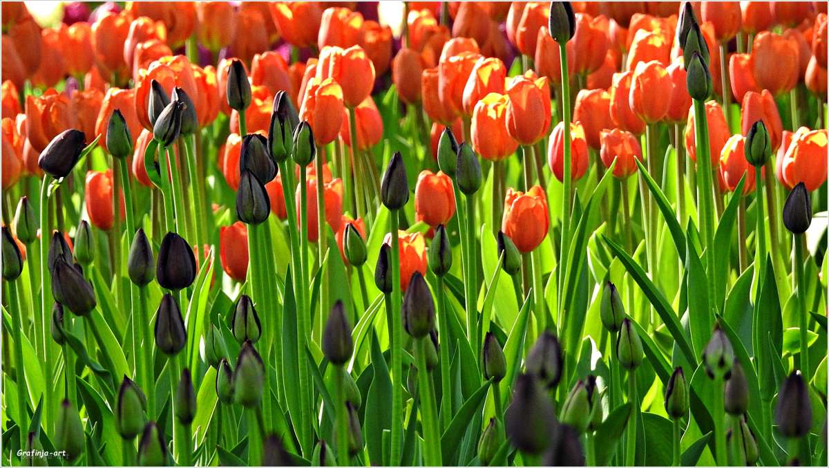 ������ ������... ����� ������ ��� �� PhotoGeek.ru #������ ��� ������� #����� ��������������