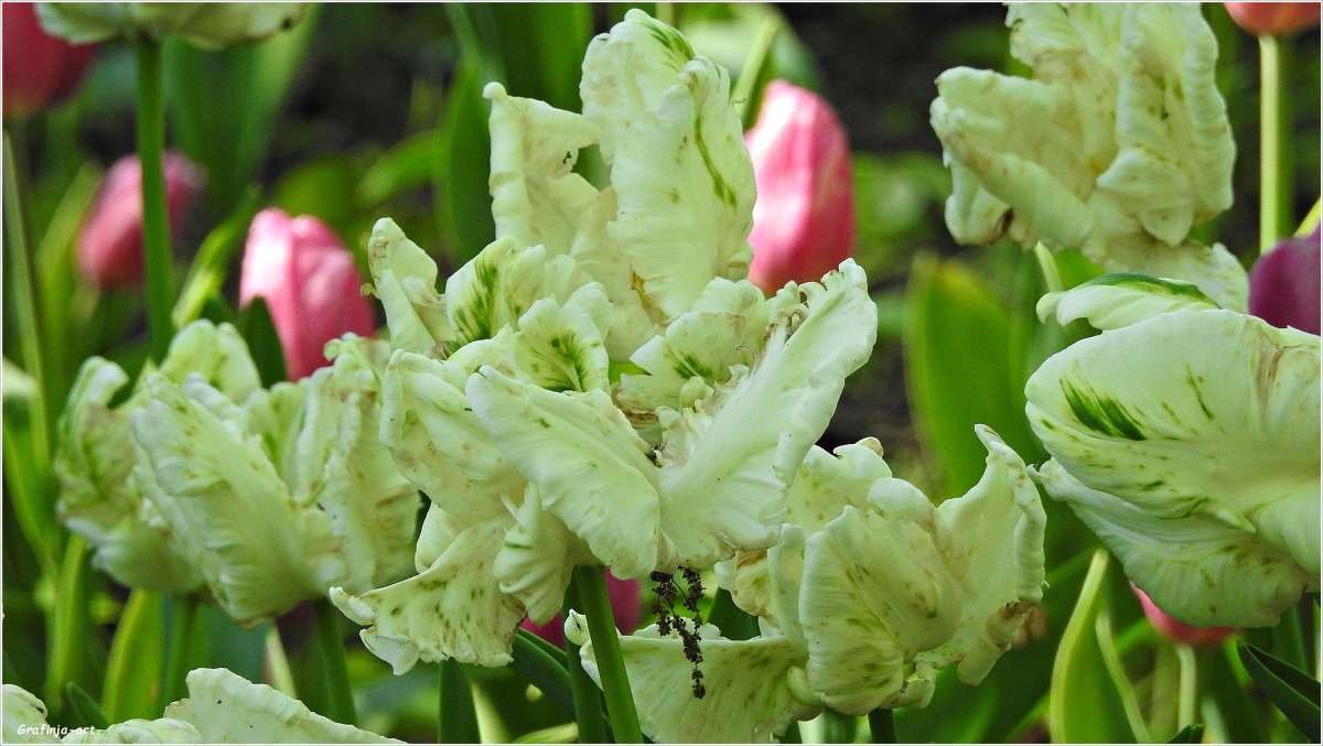 ������ ������... ����� ������ ��� �� PhotoGeek.ru #������ ��� ������� #����� ��������������