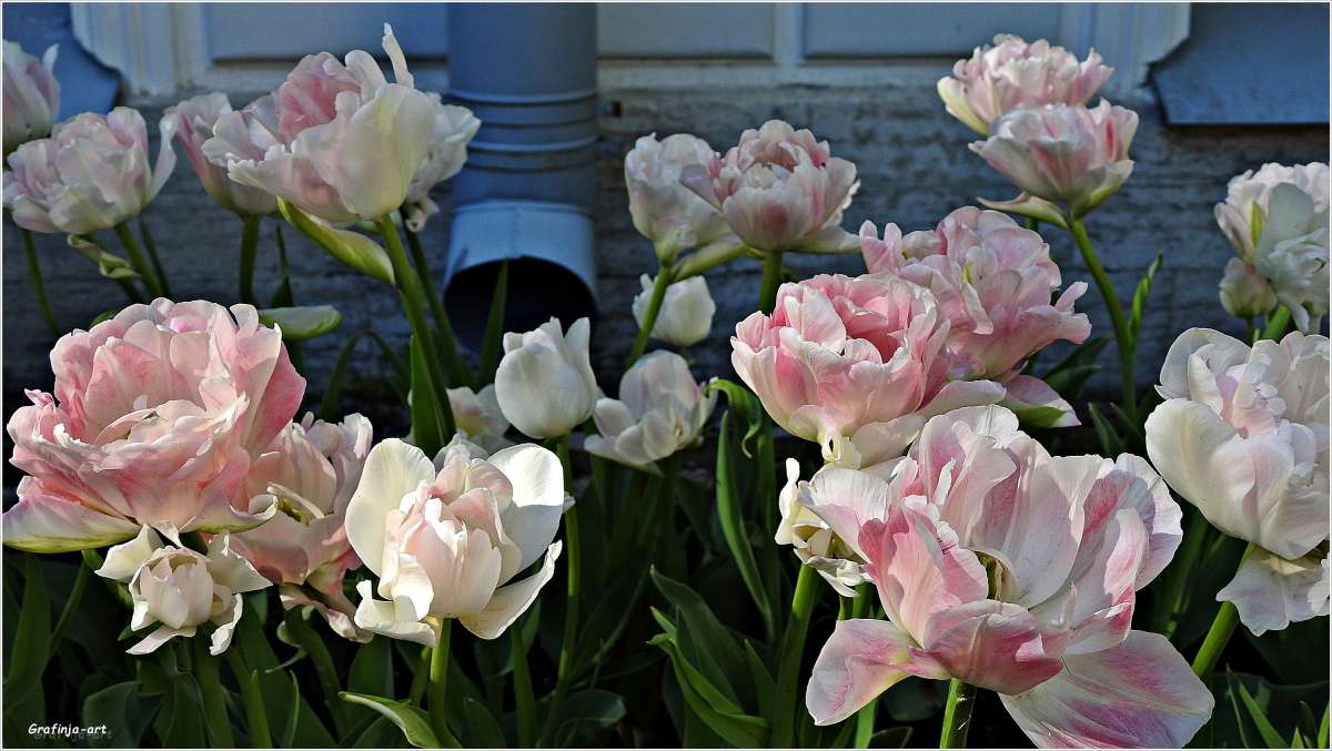 ������ ������... ����� ������ ��� �� PhotoGeek.ru #������ ��� ������� #����� ��������������