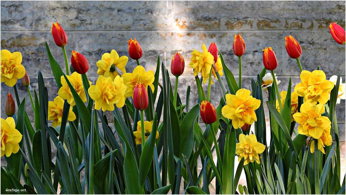 ������ ������... ����� ������ ��� �� PhotoGeek.ru #������ ��� ������� #����� ��������������