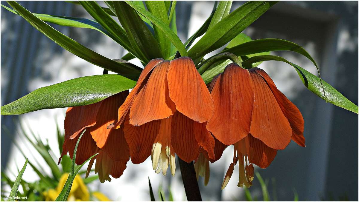 ������ ������... ����� ������ ��� �� PhotoGeek.ru #������ ��� ������� #����� ��������������