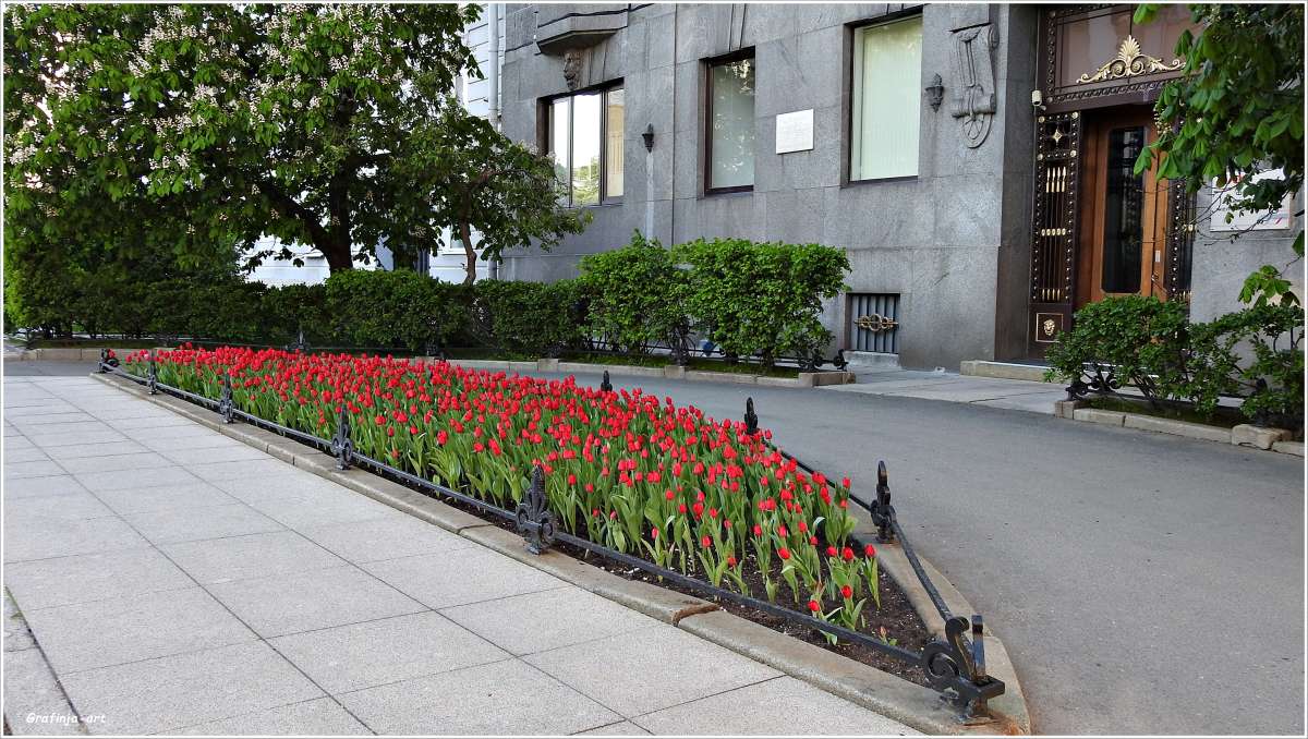 �����-��������� ����� ������ ��� �� PhotoGeek.ru #�����������