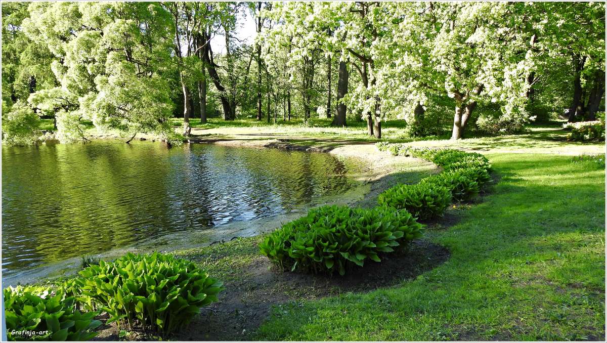 ������ ������... ����� ������ ��� �� PhotoGeek.ru #������ ��� ������� #����� ��������������