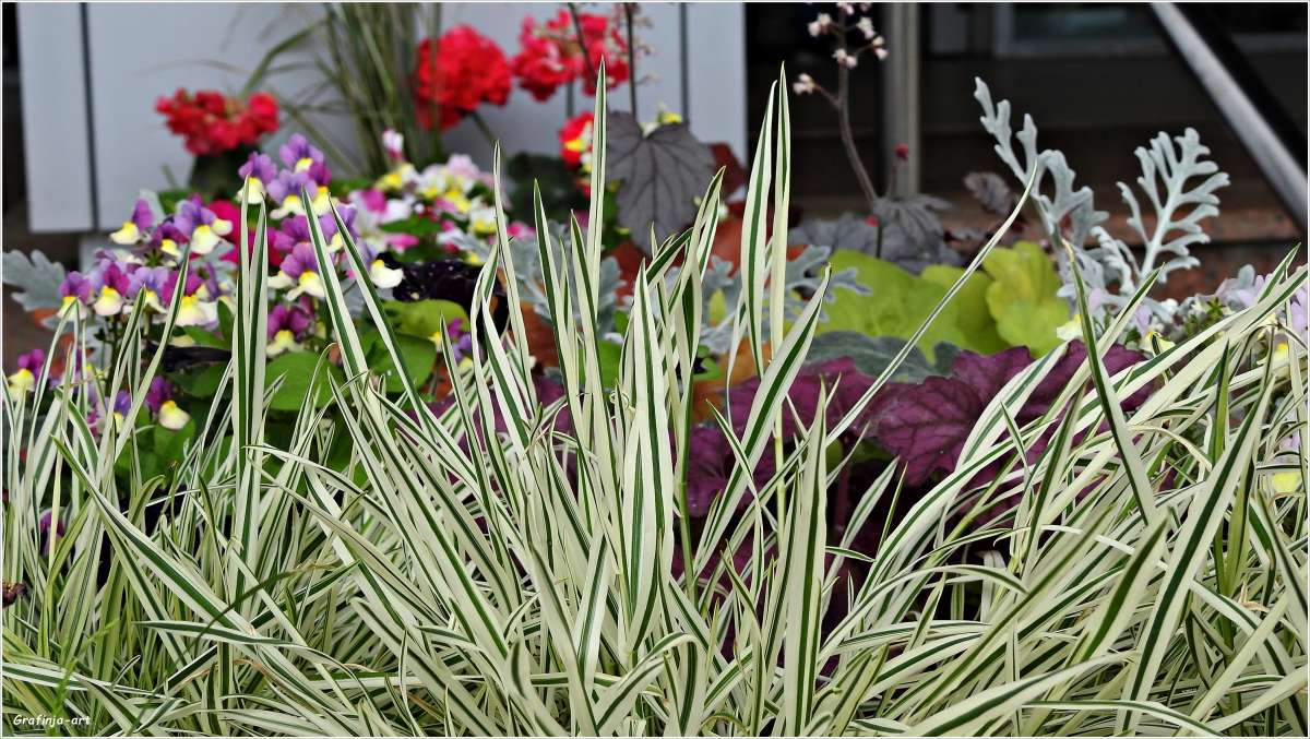 �����-��������� ����� ������ ��� �� PhotoGeek.ru #������ ��� �������