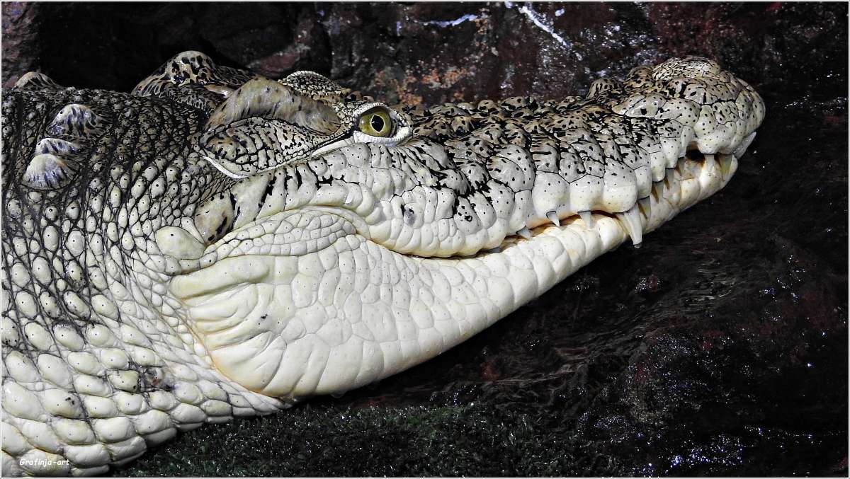 ����������... ����� ������ ��� �� PhotoGeek.ru #������ ��� �������