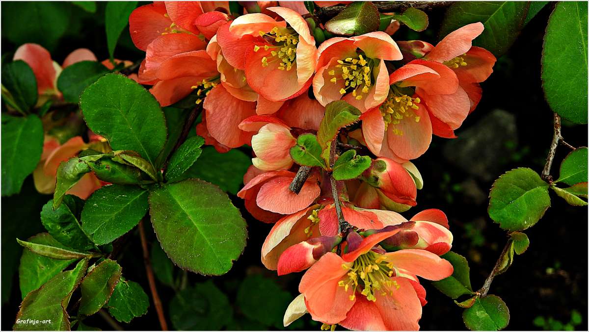 �����-��������� ����� ������ ��� �� PhotoGeek.ru #������ ��� ������� #����� ��������������