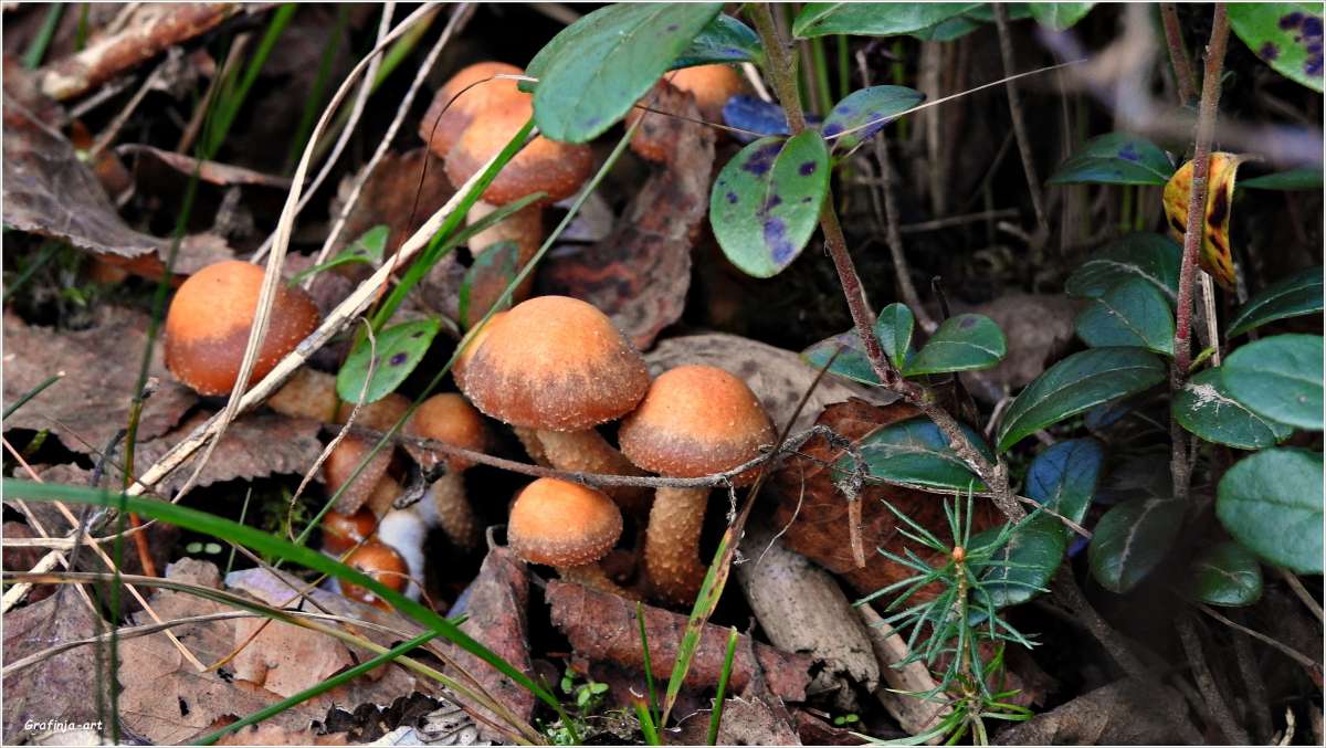 ���� �������� ���������... ����� ������ ��� �� PhotoGeek.ru #������ ��� �������