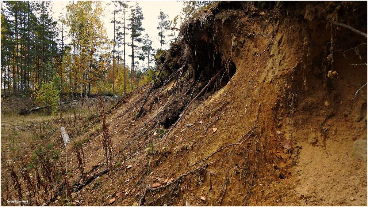 �������.... ����� ������ ��� �� PhotoGeek.ru #������ ��� �������