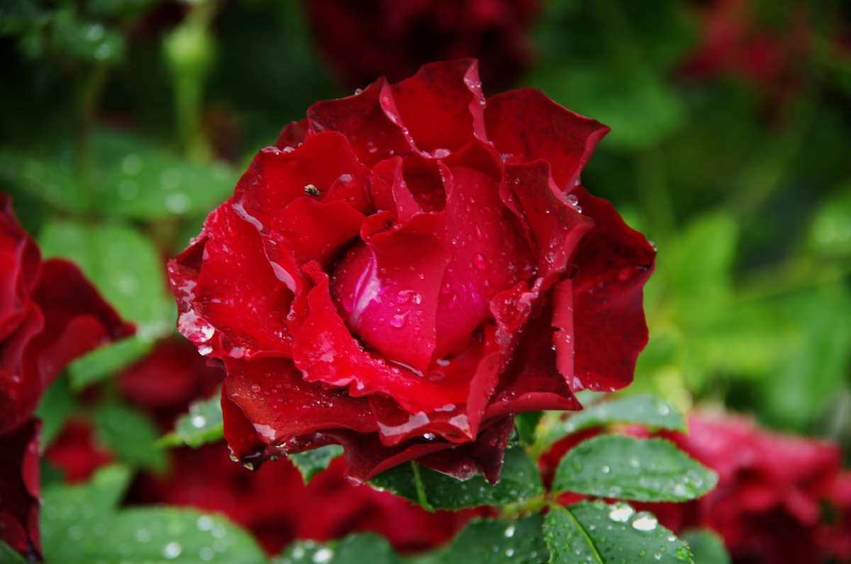 ����� ����� ����� ��������  �� PhotoGeek.ru #������ ��� �������