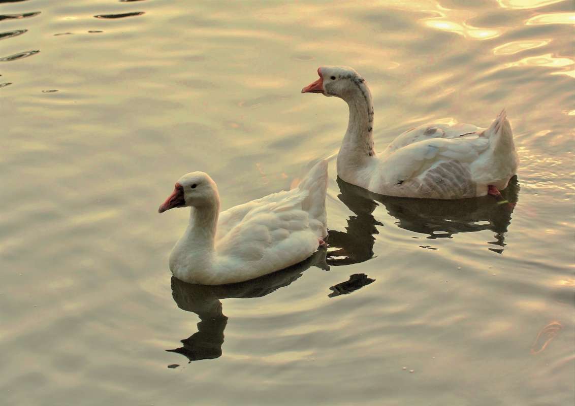 ... ����� ������  �� PhotoGeek.ru #�������� ���