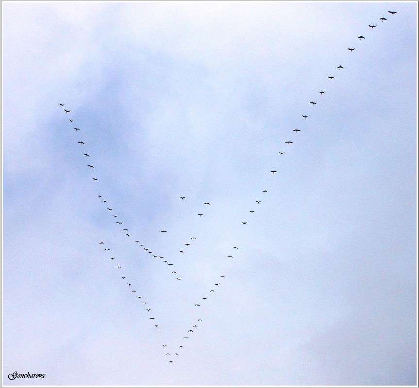 ���������� ���� ����� ������ ��������� �� PhotoGeek.ru #���� #�����